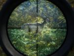 thehuntercallofthewild_007.jpg
