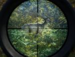 thehuntercallofthewild_007.jpg