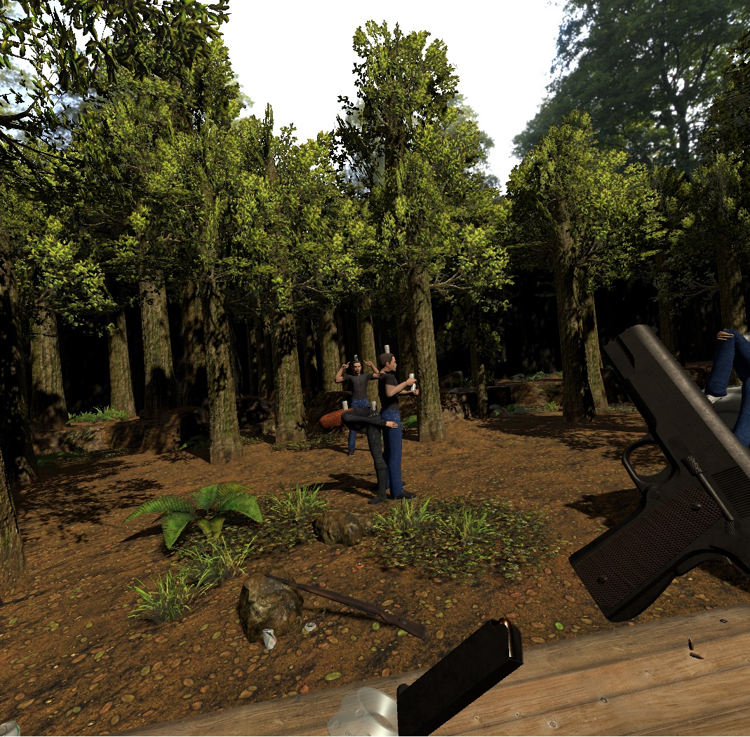 Image d'un jeu FPS