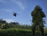 wardogs_003.jpg