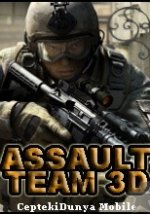 Assault Team 3D