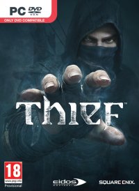 Bote de Thief