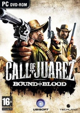 Bote de Call of Juarez : Bound in Blood