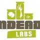Icone Undead Labs