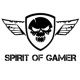 Icone Spirit of Gamer