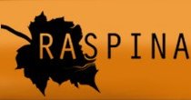 Logo de Raspina Studio