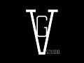 Logo de VGstudio