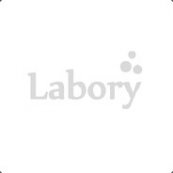 Logo de Labory