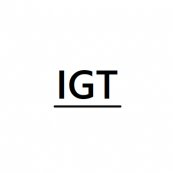 Logo de IGTgames