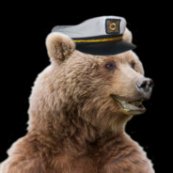 Logo de Captain Bear Games