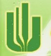 Logo de Cactus Games